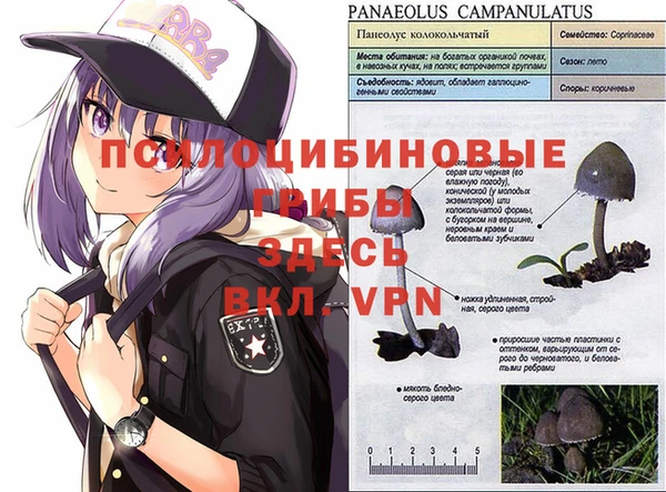 синтетический гашиш Володарск