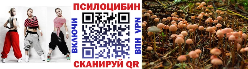 гидра онион  Заводоуковск  Галлюциногенные грибы Magic Shrooms 
